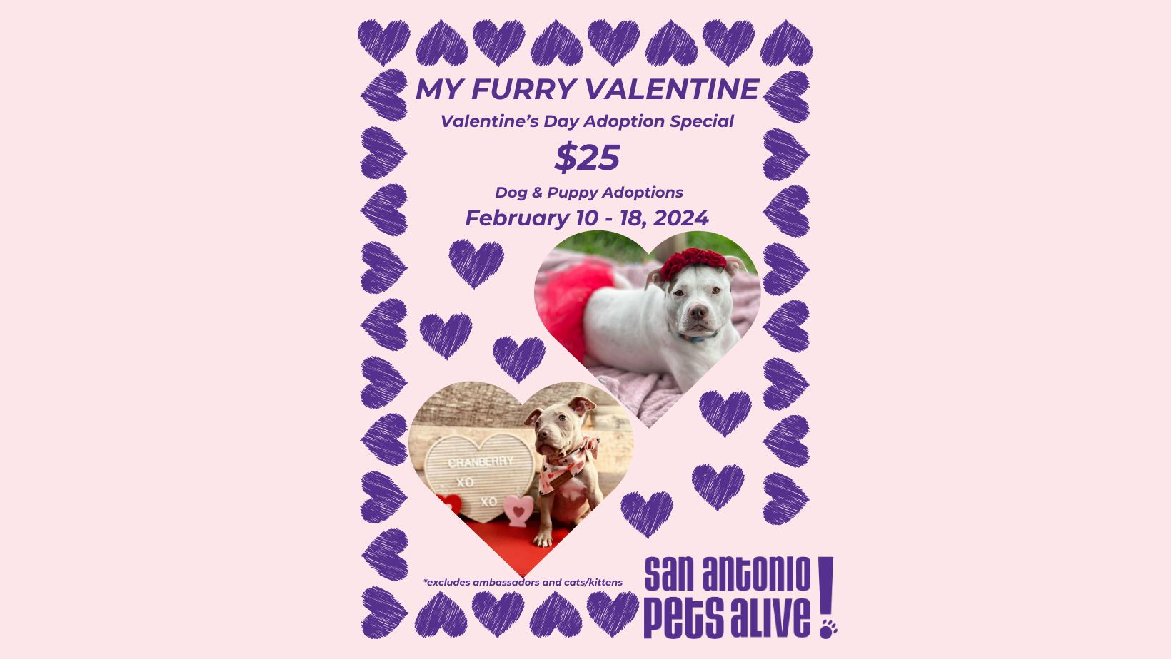 SAPA! "My Furry Valentine" $25 Dog & Puppy Adoption Special